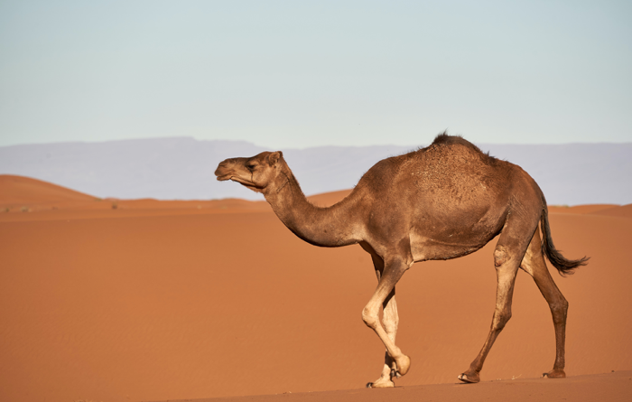 Use CamelCase to make your social media accessible