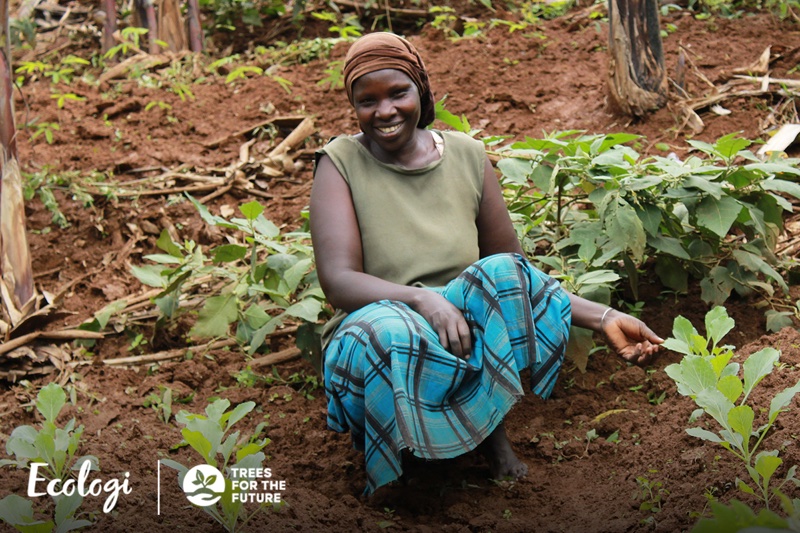 We've joined Ecologi to support our tree planting goals